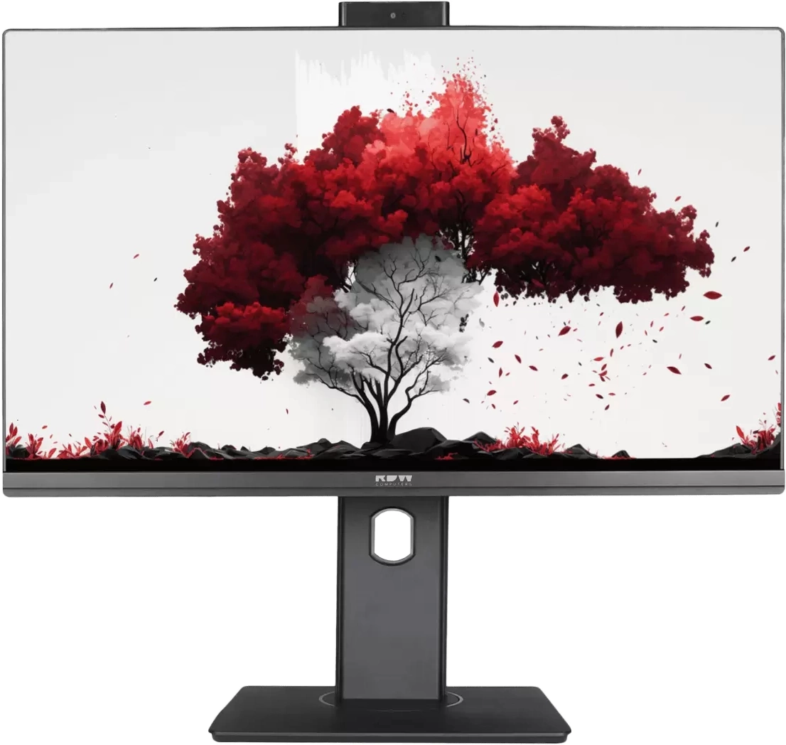 Монитор RDW Computers 23.8" RDW2402K/F00B3 черный IPS 16:9 HDMI M/M Cam матовая HAS Piv 250cd 178гр/178гр 1920x1080 75Hz VGA DP FHD (RUS)