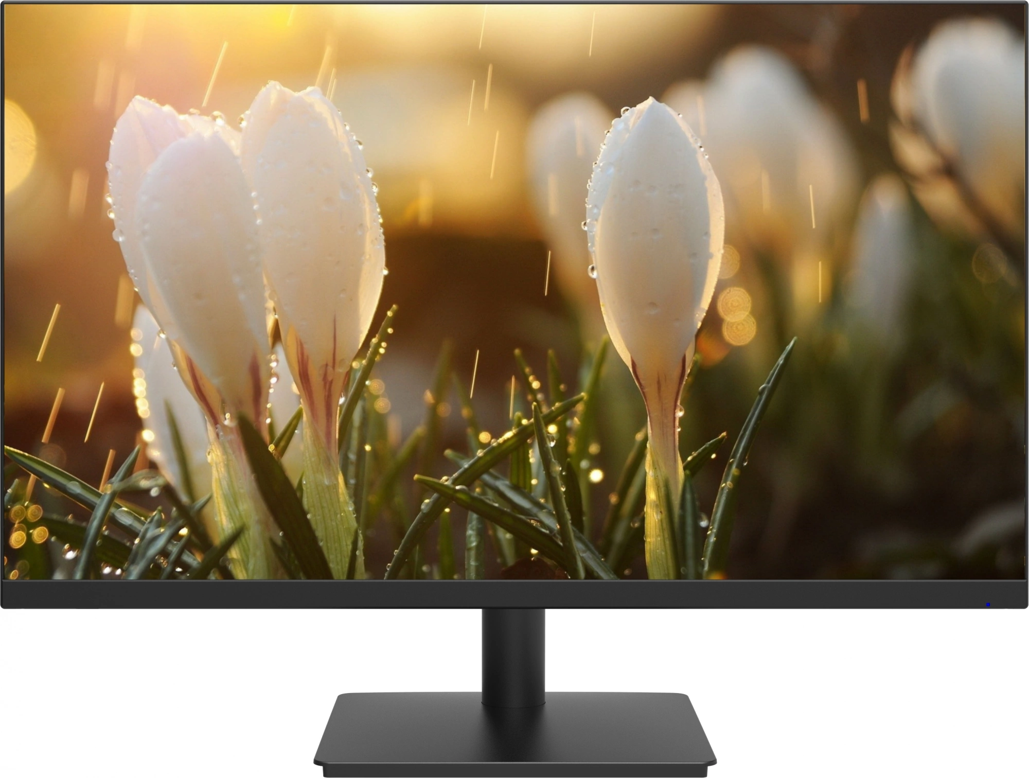 Монитор Dahua 23.8" DHI-LM24-A201H черный IPS LED 5ms 16:9 HDMI M/M матовая 1000:1 250cd 178гр/178гр 1920x1080 100Hz VGA DP FHD 3.1кг